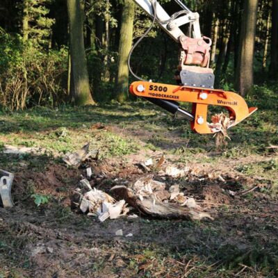 Rootstock Head – Woodcracker S200