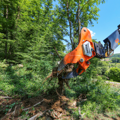 Rootstock Head – Woodcracker R1300