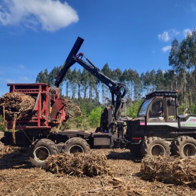 Autocargador forestal – Logset 6F GT Bundler XTR280
