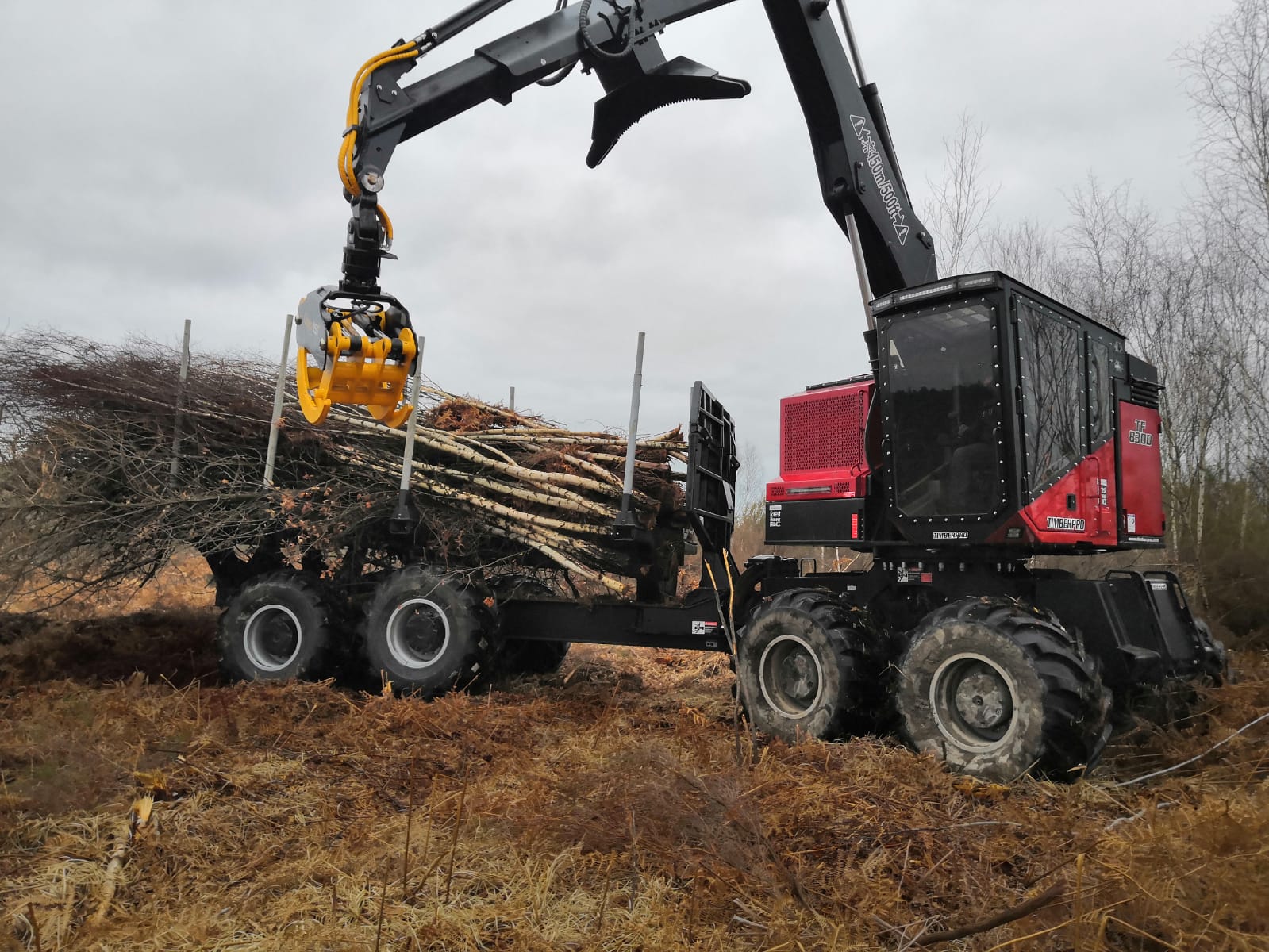 Forestry Forwarder – TimberPro TF830D - FOREST PIONEER