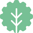Forest Pioneer SL