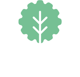 Forest Pioneer