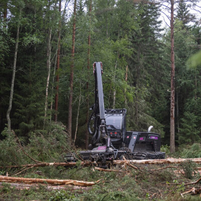 Procesadora Forestal - LOGSET 8H GTE