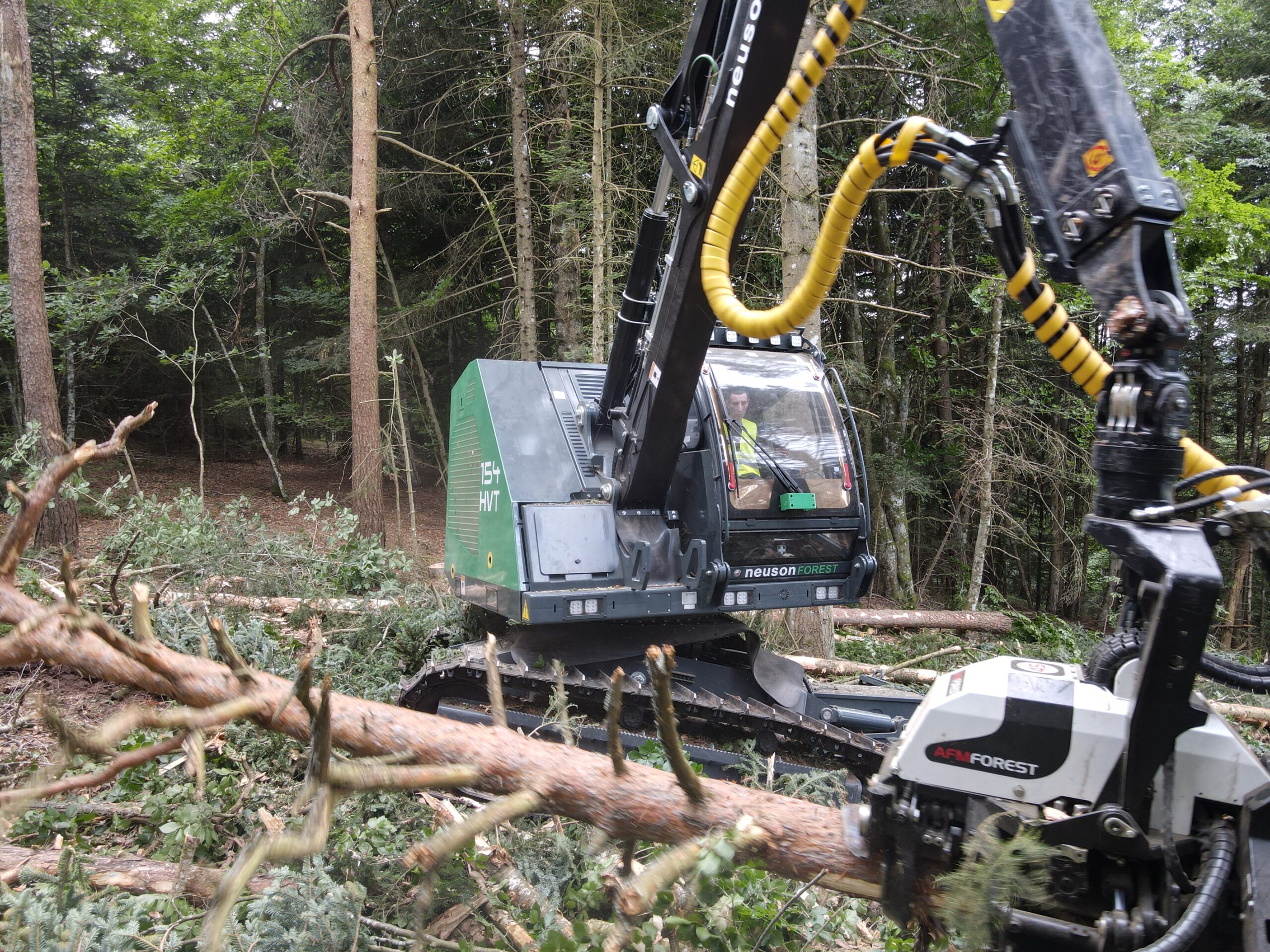 Tracked Harvester - Neuson Forest 154 HVT - FOREST PIONEER