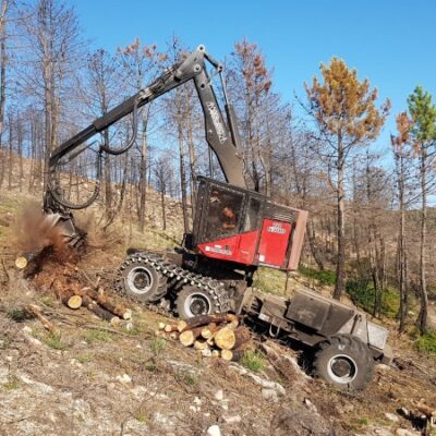Wheeled Feller Buncher – TimberPro TB 630D