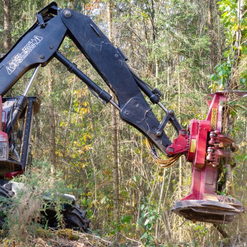 timberpro (3) (1)
